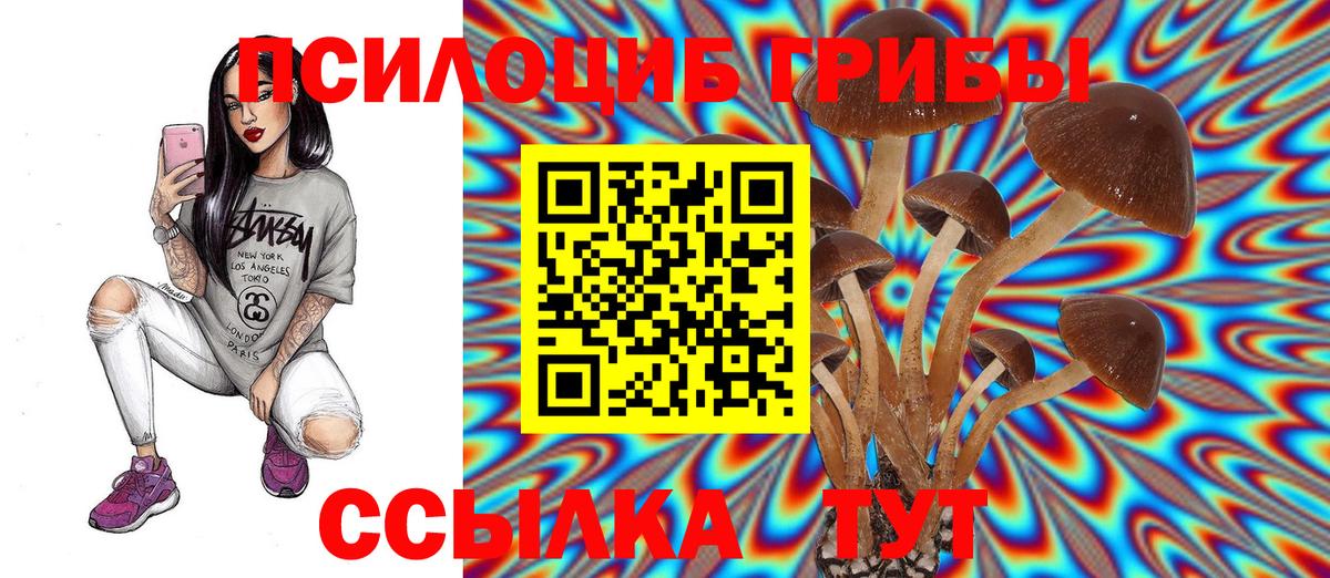 Луга  Псилоцибиновые грибы GOLDEN TEACHER  Псилоцибиновые грибы мицелий  Вход с VPN 