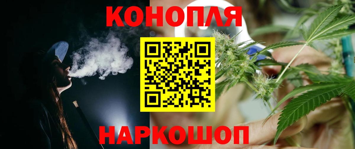Каннабис планчик Луга